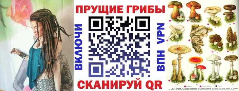 где найти наркотики  МЕГА ССЫЛКА  Галлюциногенные грибы ЛСД  Демидов 